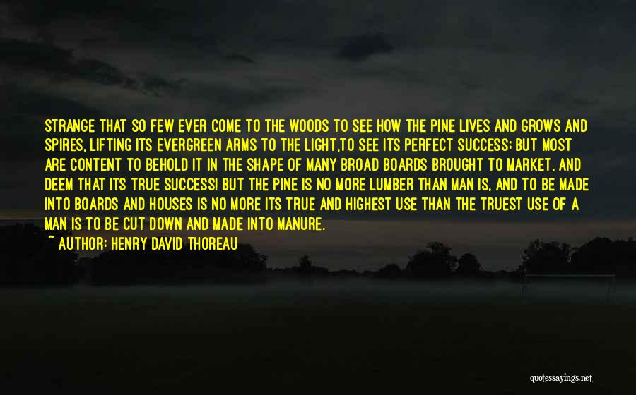 Thoreau Into The Woods Quotes By Henry David Thoreau