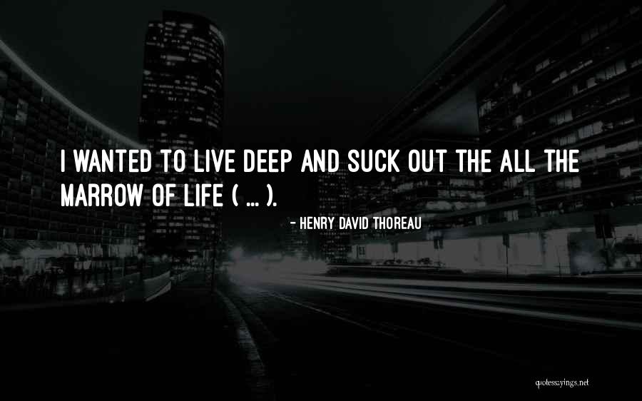 Thoreau Marrow Quotes By Henry David Thoreau Thoreau Marrow Quotes By Henry David Thoreau