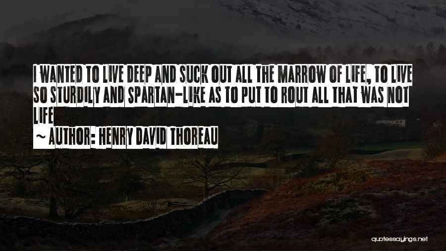 Thoreau Marrow Quotes By Henry David Thoreau