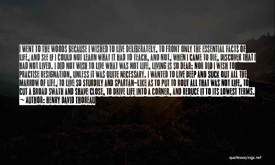 Thoreau Marrow Quotes By Henry David Thoreau