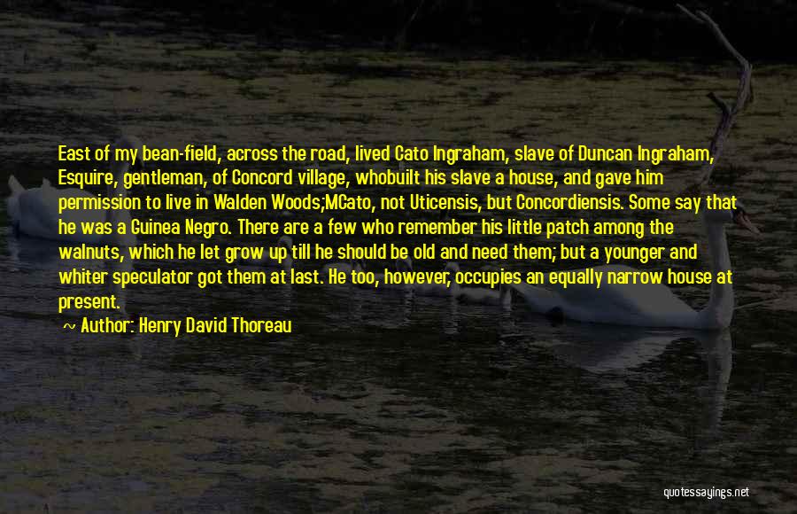 Thoreau Walden Woods Quotes By Henry David Thoreau