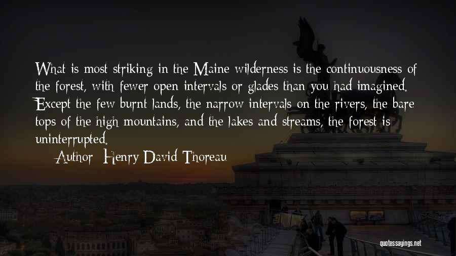 Thoreau Wilderness Quotes By Henry David Thoreau