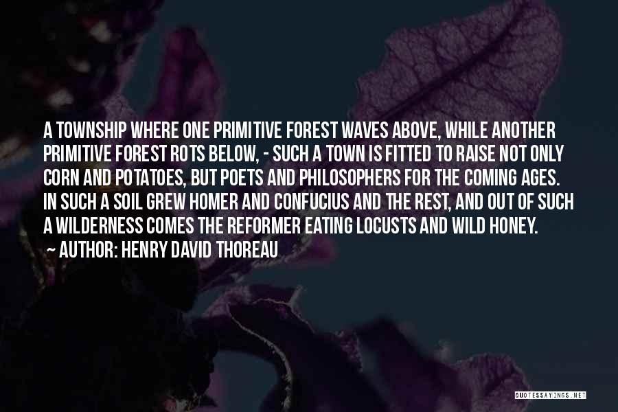 Thoreau Wilderness Quotes By Henry David Thoreau