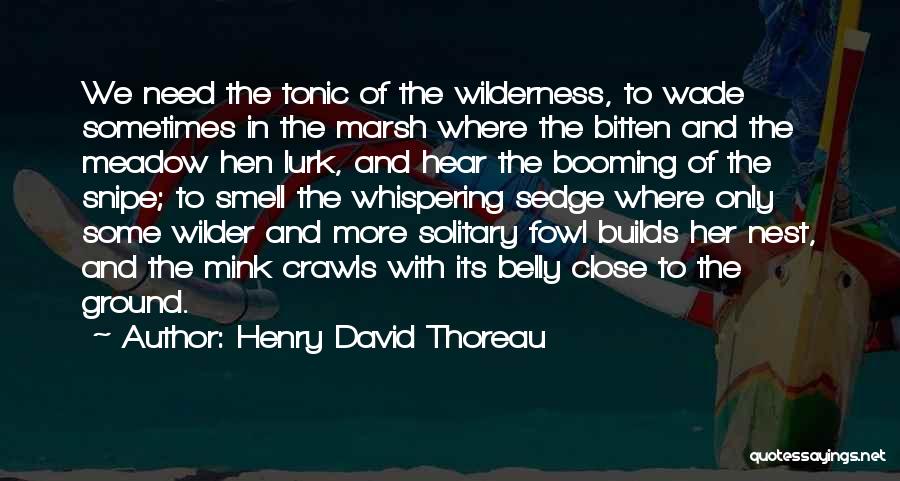 Thoreau Wilderness Quotes By Henry David Thoreau