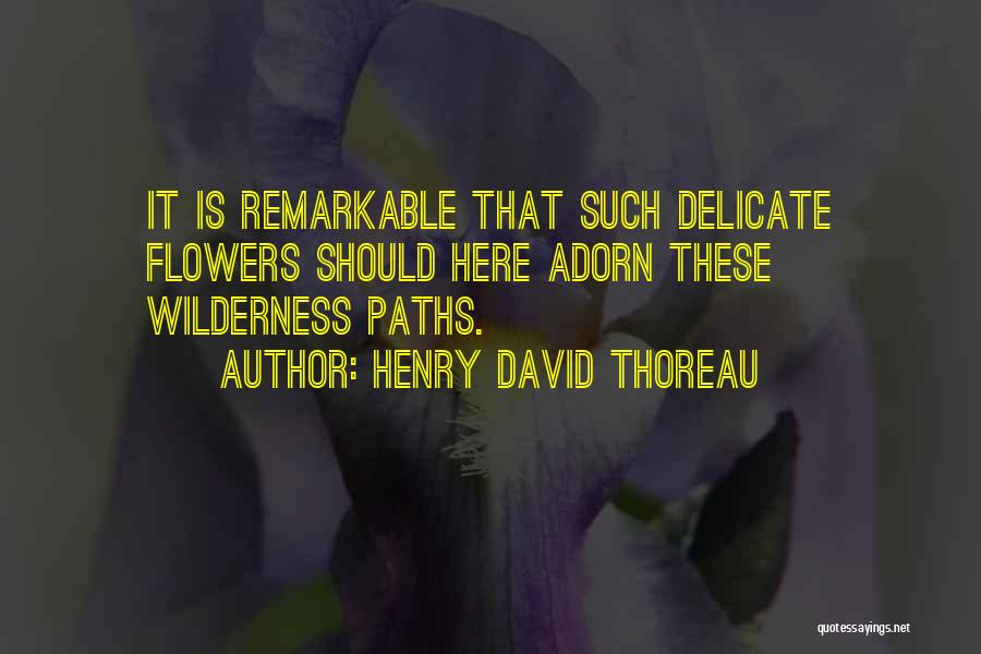 Thoreau Wilderness Quotes By Henry David Thoreau