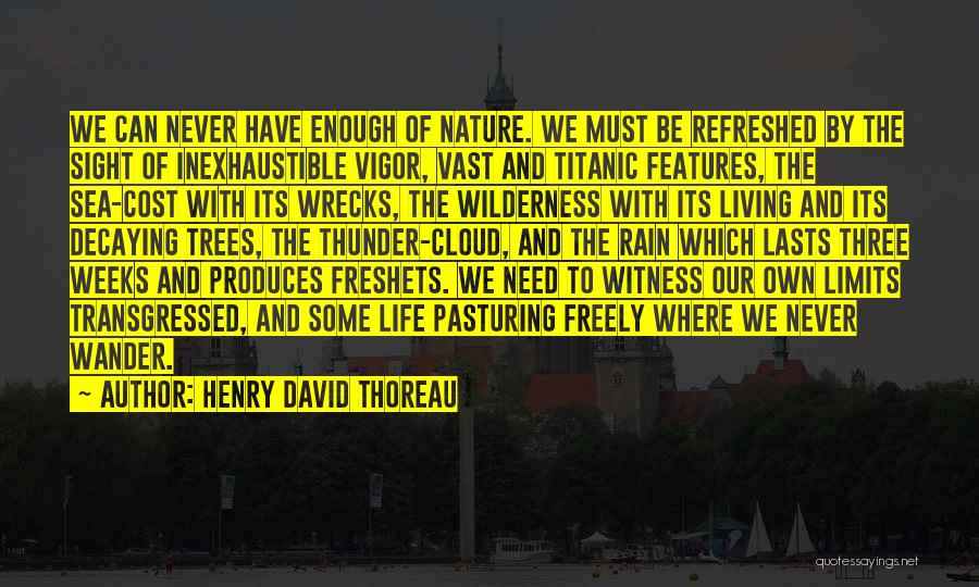 Thoreau Wilderness Quotes By Henry David Thoreau