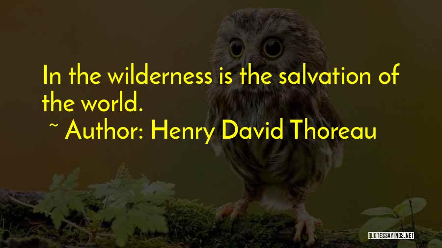 Thoreau Wilderness Quotes By Henry David Thoreau