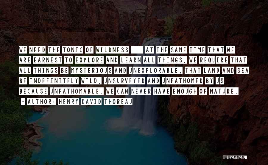 Thoreau Wilderness Quotes By Henry David Thoreau