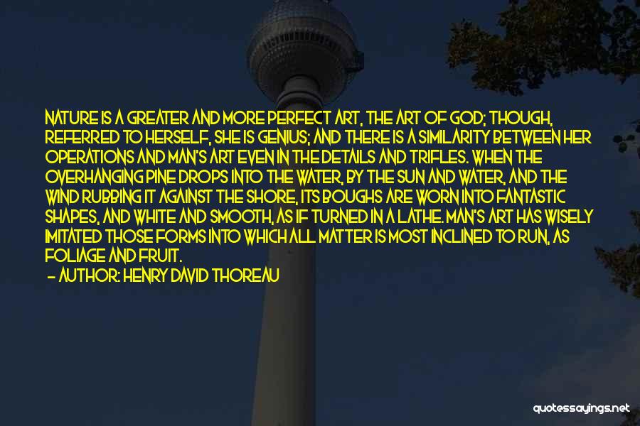 Thoreau's Quotes By Henry David Thoreau