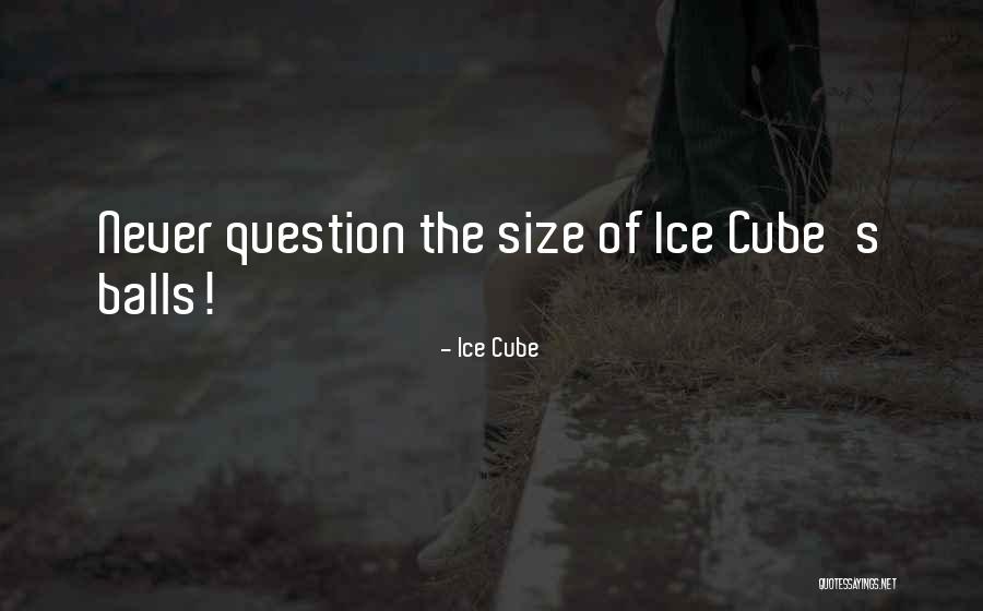 Thormod Idsoe Quotes By Ice Cube Thormod Idsoe Quotes By Ice Cube