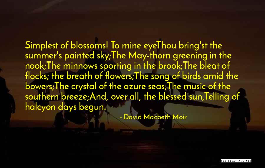 Thorn Birds Quotes By David Macbeth Moir Thorn Birds Quotes By David Macbeth Moir