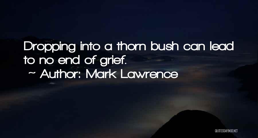 Thorn Bush Quotes By Mark Lawrence