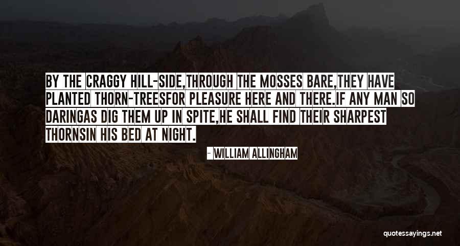 Thorn Trees Quotes By William Allingham Thorn Trees Quotes By William Allingham