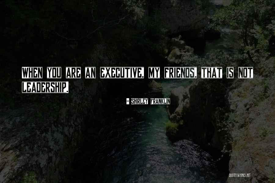 Thornergasse Quotes By Shirley Franklin Thornergasse Quotes By Shirley Franklin
