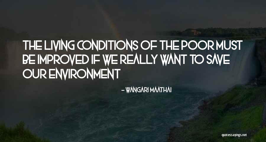 Thornfield In Jane Eyre Quotes By Wangari Maathai Thornfield In Jane Eyre Quotes By Wangari Maathai