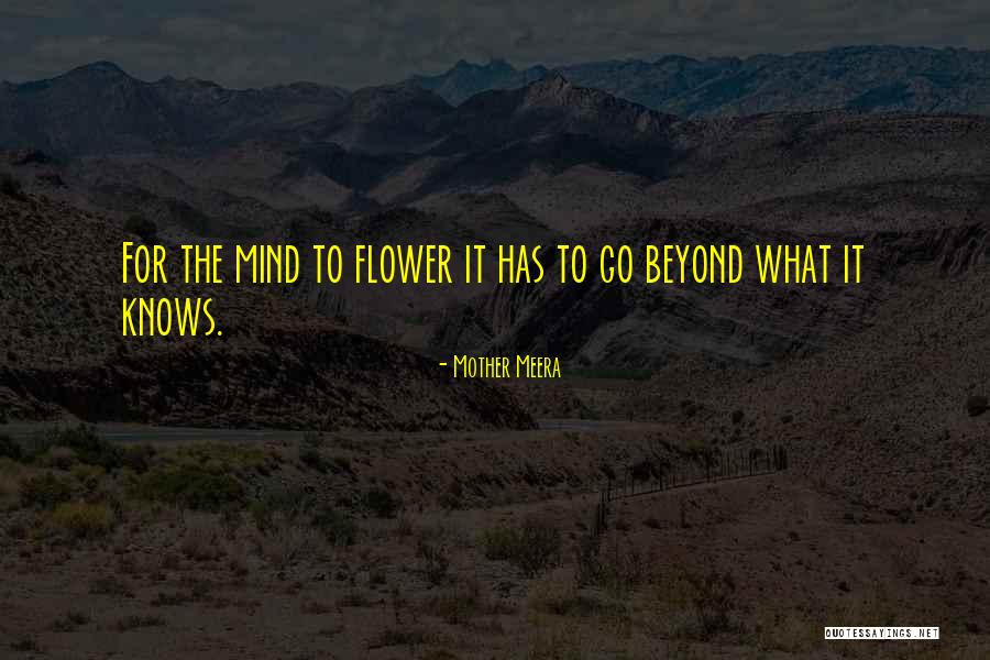 Thornhills Bantry Quotes By Mother Meera Thornhills Bantry Quotes By Mother Meera