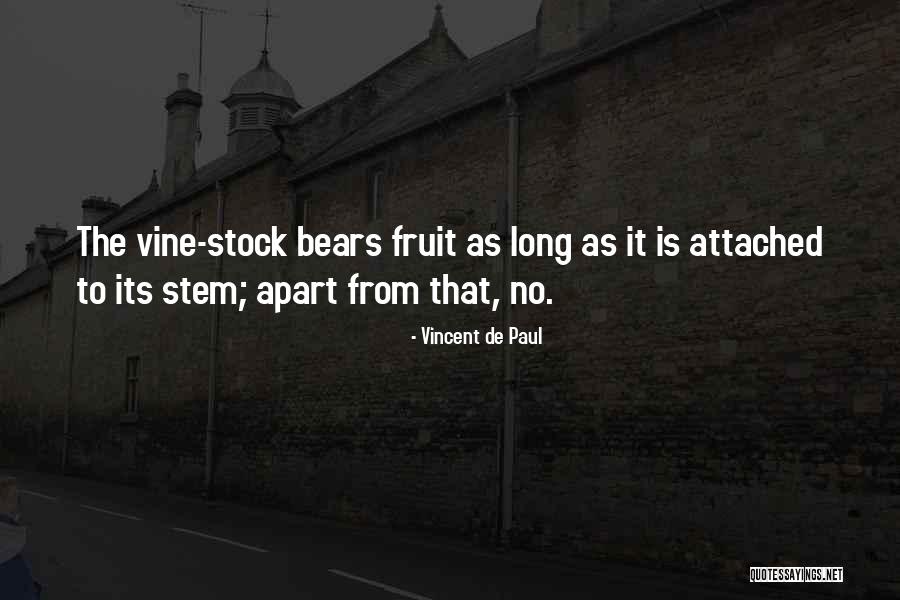 Thorniness Quotes By Vincent De Paul Thorniness Quotes By Vincent De Paul