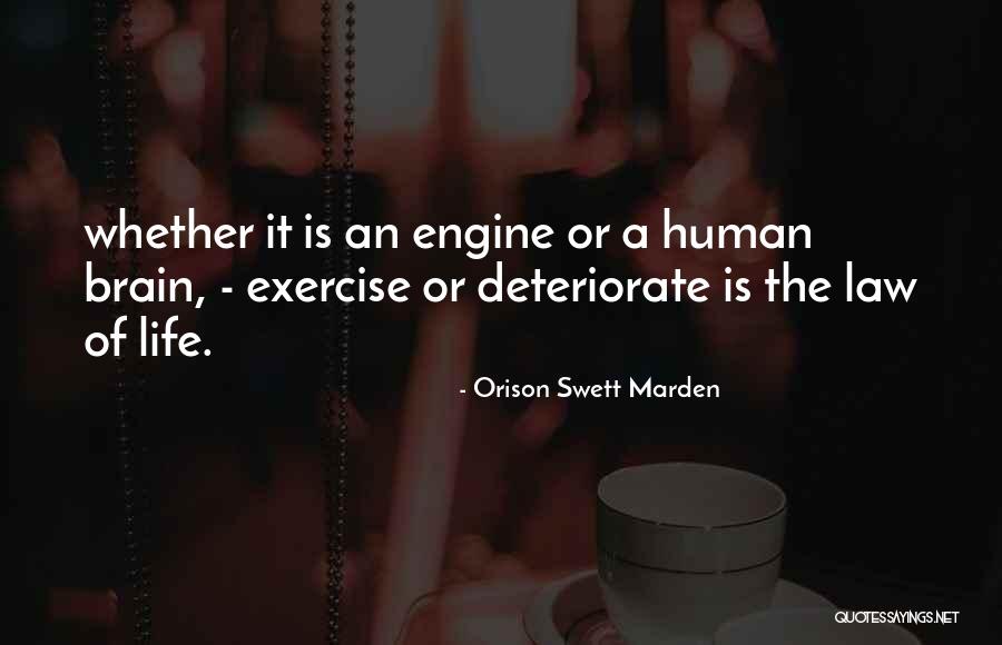 Thornley Band Quotes By Orison Swett Marden Thornley Band Quotes By Orison Swett Marden