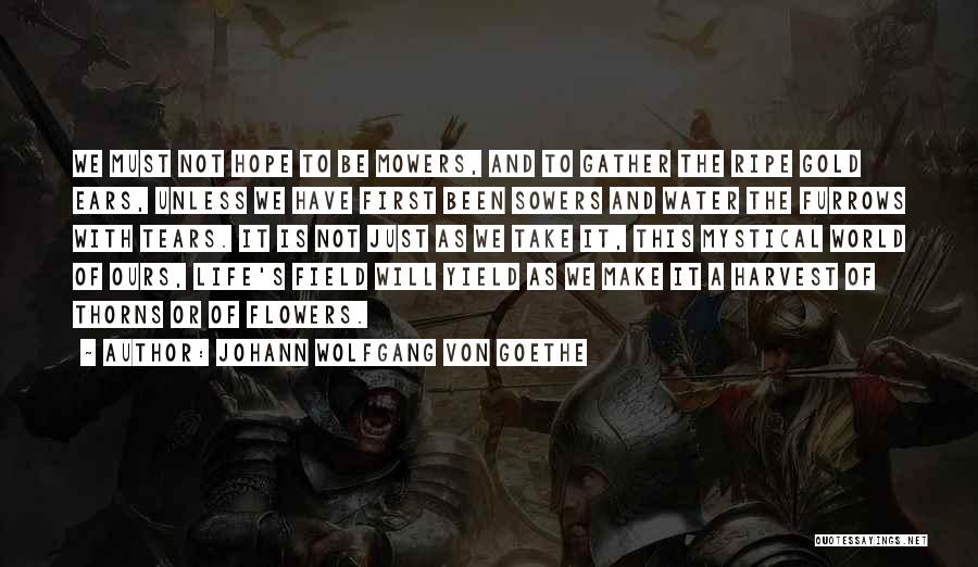 Thorns Quotes By Johann Wolfgang Von Goethe