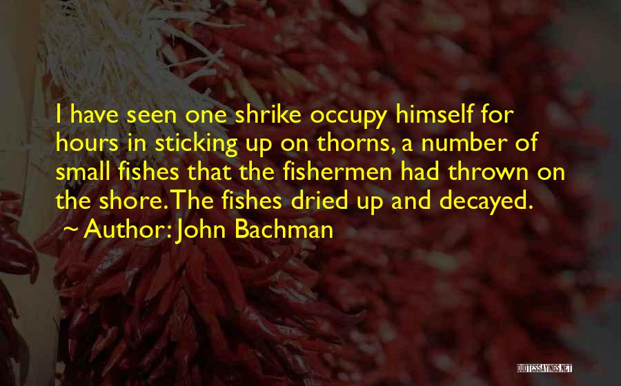 Thorns Quotes By John Bachman