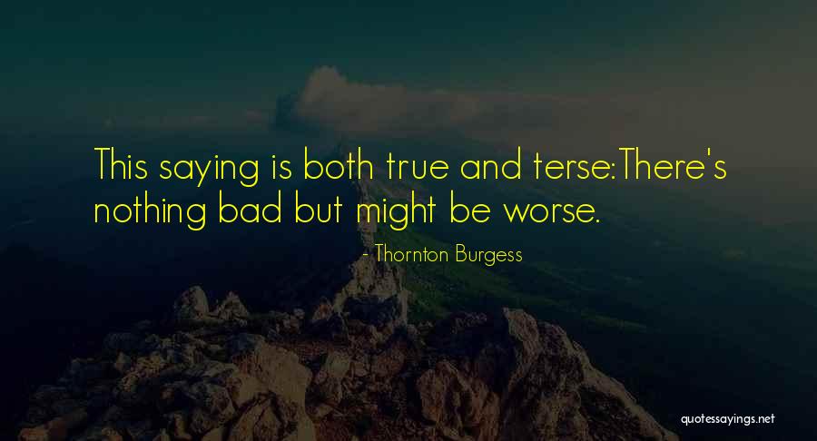 Thornton Burgess Quotes 1064686