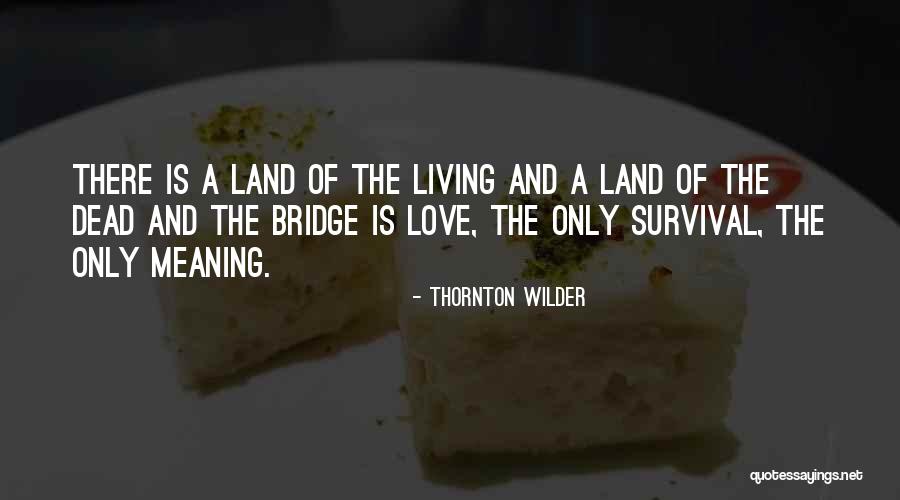 Thornton Wilder Love Quotes By Thornton Wilder