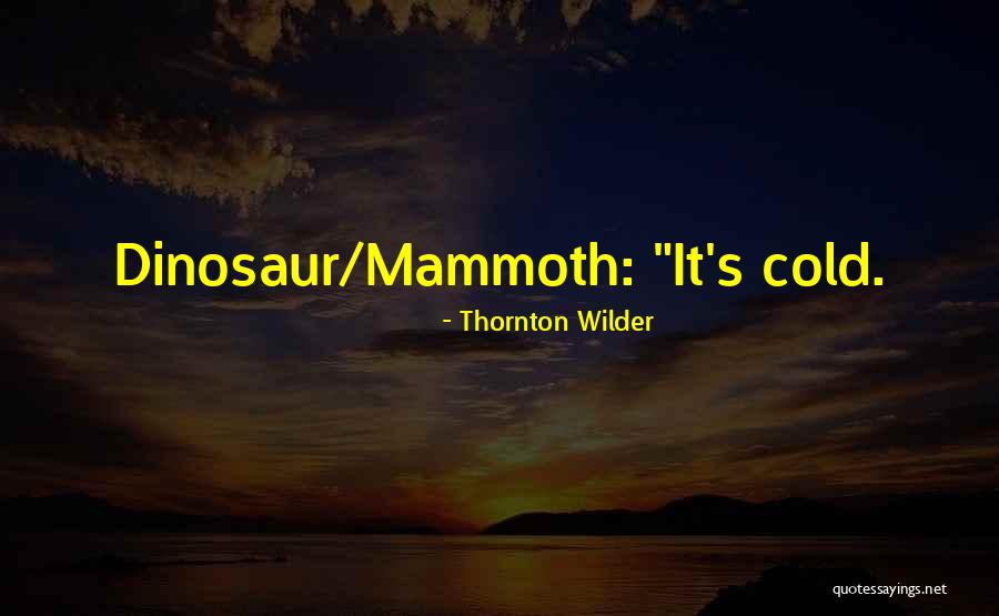 Thornton Wilder Quotes 339881