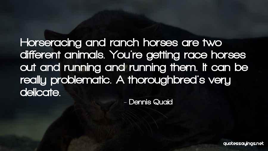 Thoroughbred Horses Quotes By Dennis Quaid Thoroughbred Horses Quotes By Dennis Quaid