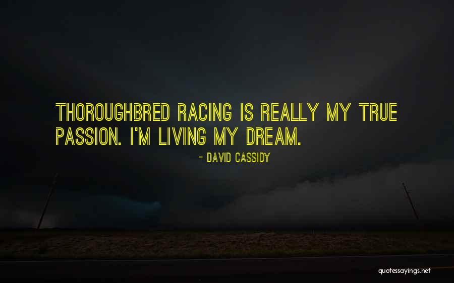 Thoroughbred Quotes By David Cassidy Thoroughbred Quotes By David Cassidy