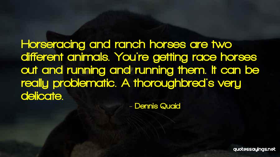Thoroughbred Quotes By Dennis Quaid Thoroughbred Quotes By Dennis Quaid