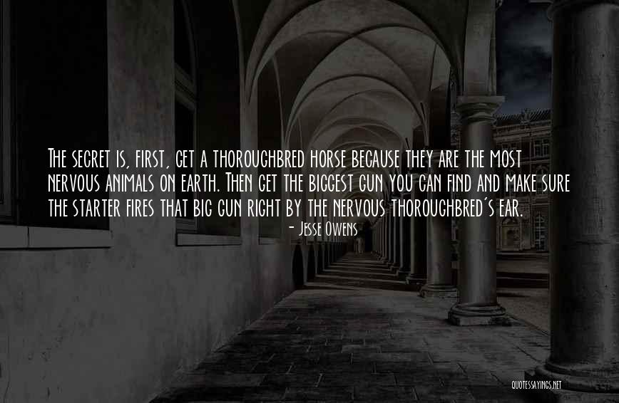 Thoroughbred Quotes By Jesse Owens Thoroughbred Quotes By Jesse Owens