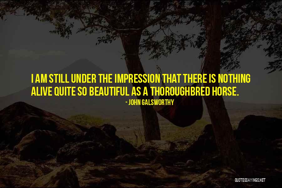 Thoroughbred Quotes By John Galsworthy Thoroughbred Quotes By John Galsworthy