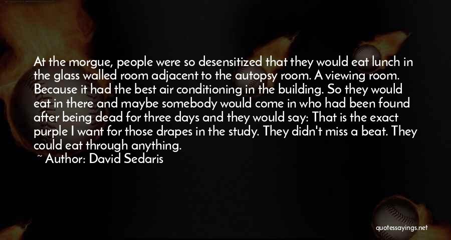 Those Were The Best Days Quotes By David Sedaris