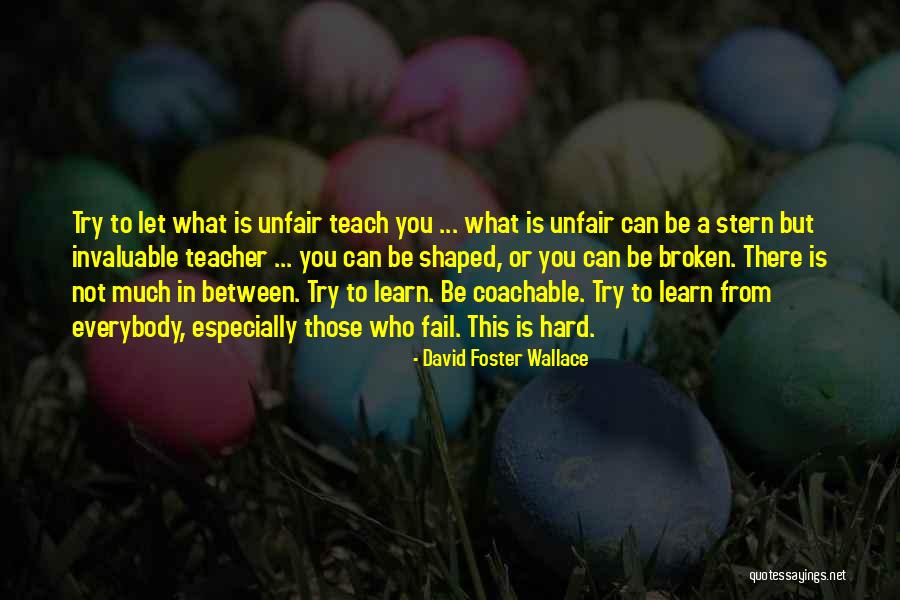 Those Who Can Teach Quotes By David Foster Wallace