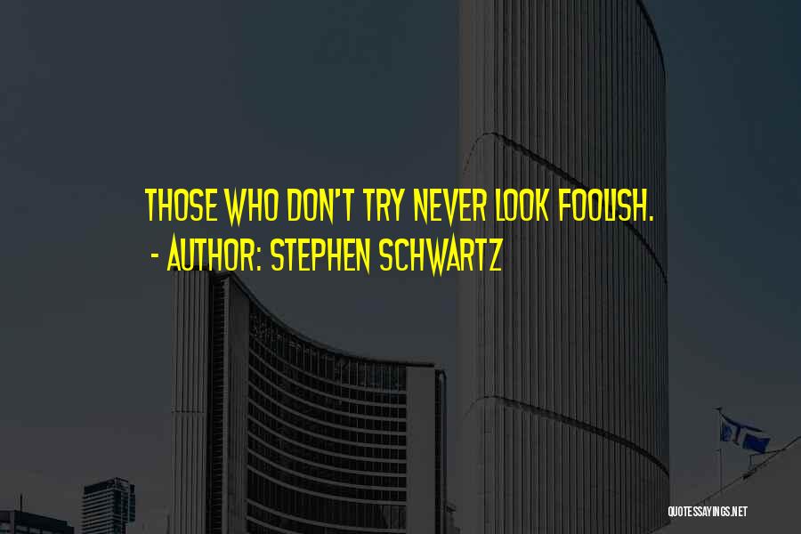 Those Who Never Try Quotes By Stephen Schwartz