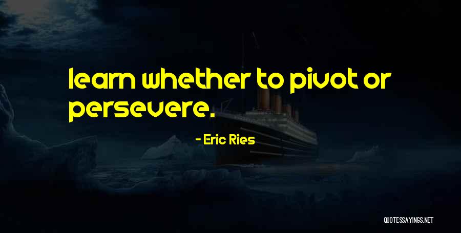 Those Who Persevere Quotes By Eric Ries