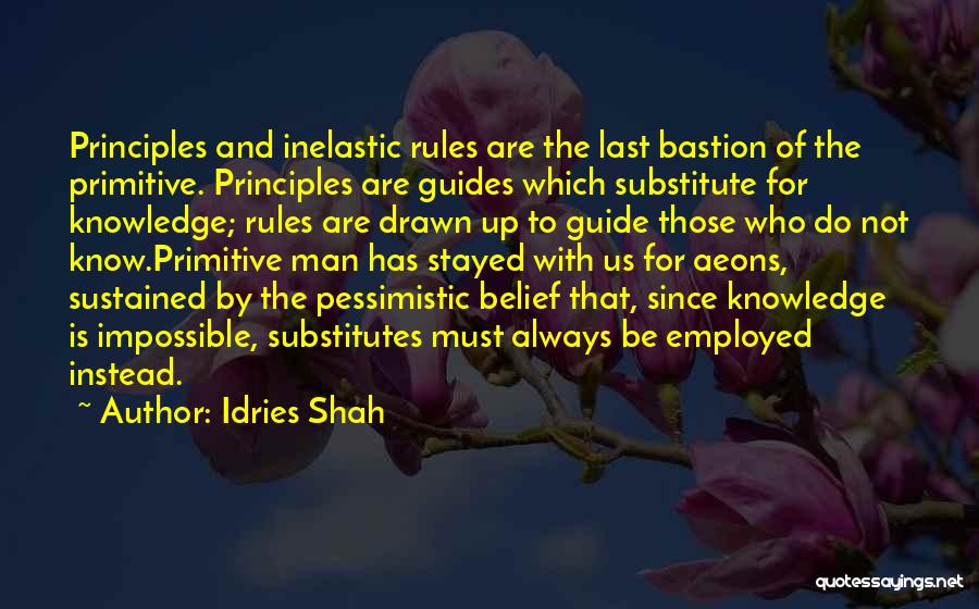 Those Who Stayed Quotes By Idries Shah