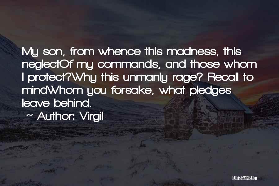 Those You Leave Behind Quotes By Virgil