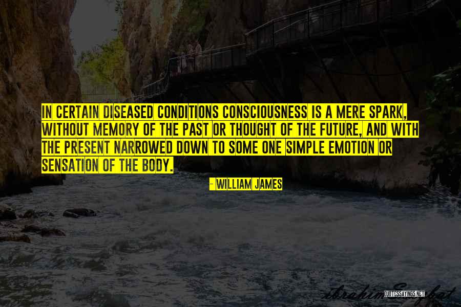 Thought And Emotion Quotes By William James Thought And Emotion Quotes By William James