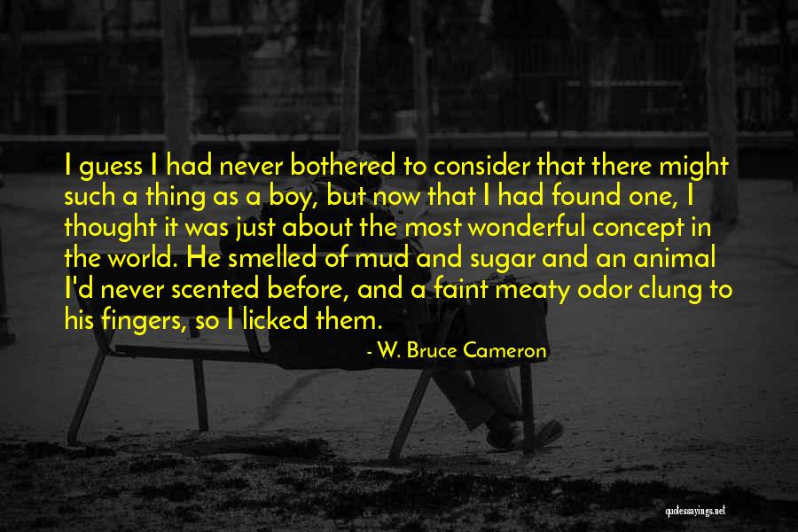 Thought But Thought Quotes By W. Bruce Cameron Thought But Thought Quotes By W. Bruce Cameron