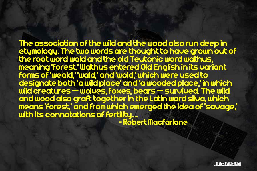 Thought In Latin Quotes By Robert Macfarlane Thought In Latin Quotes By Robert Macfarlane
