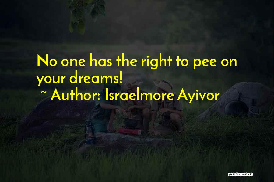 Thought Leadership Quotes By Israelmore Ayivor