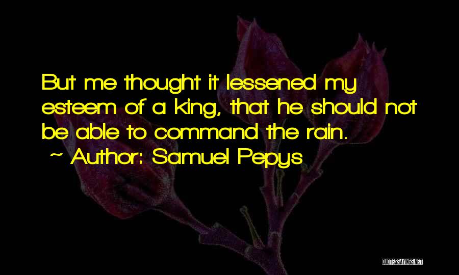 Thought Leadership Quotes By Samuel Pepys