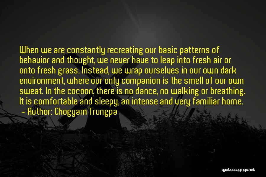 Thought Patterns Quotes By Chogyam Trungpa