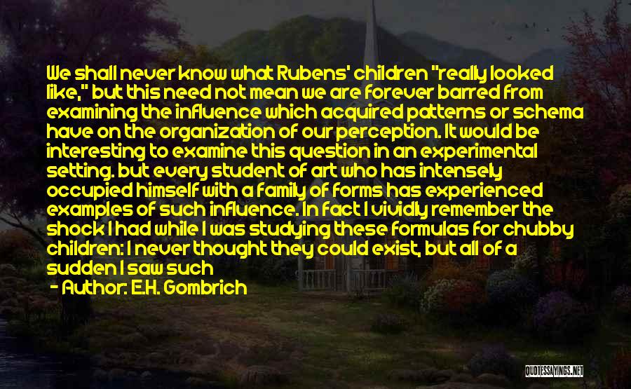 Thought Patterns Quotes By E.H. Gombrich