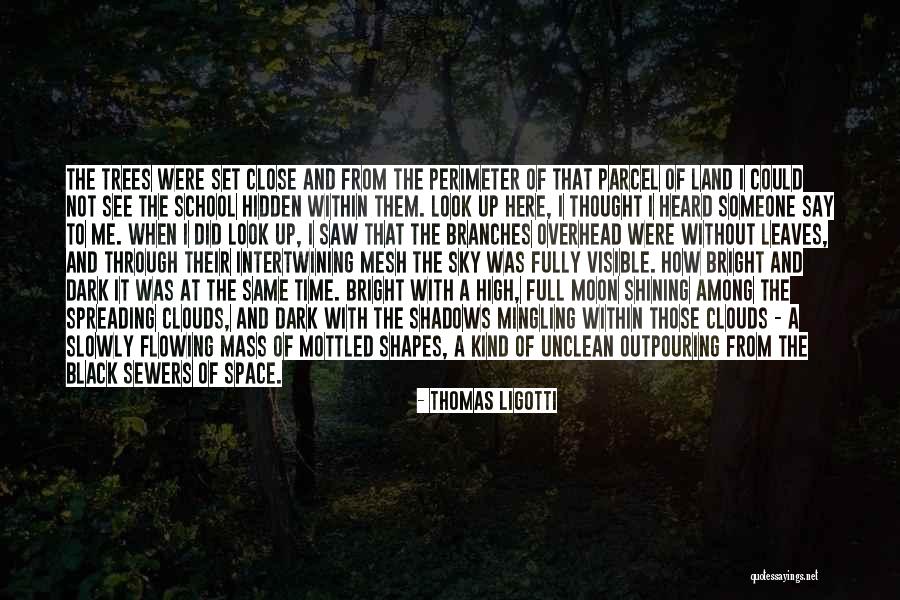 Thought Shapes Quotes By Thomas Ligotti Thought Shapes Quotes By Thomas Ligotti