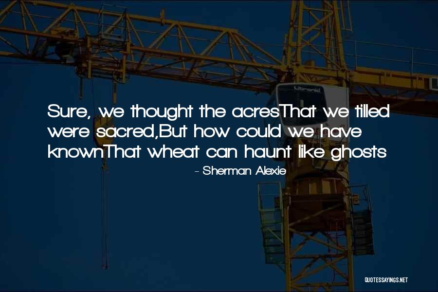 Thought We Were Family Quotes By Sherman Alexie