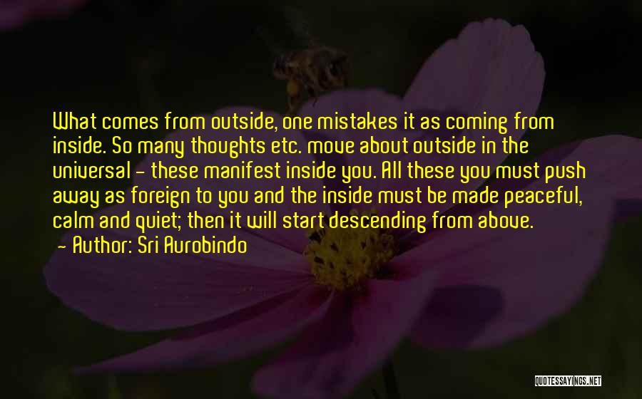 Thoughts About You Quotes By Sri Aurobindo