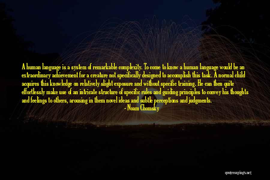 Thoughts And Perceptions Quotes By Noam Chomsky Thoughts And Perceptions Quotes By Noam Chomsky