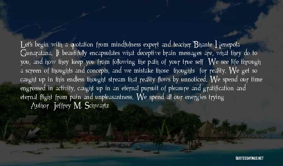 Thoughts And Reality Quotes By Jeffrey M. Schwartz
